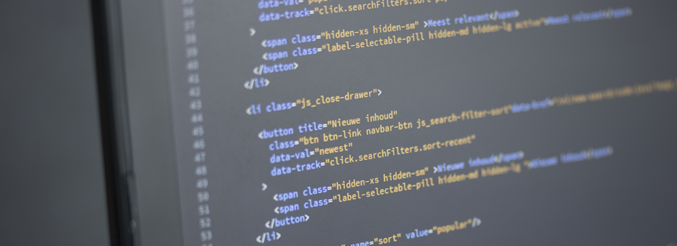 Standard or Custom API in Cruise Industry